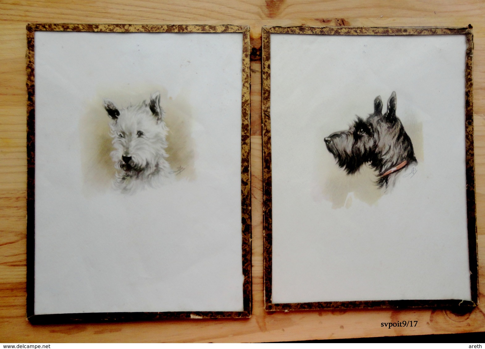 2 Dessins (reproductions?) Des  Petits Chiens Terriers écossais Du Whisky Black And White - Signatures  -  Sous Verre - Aquarelles