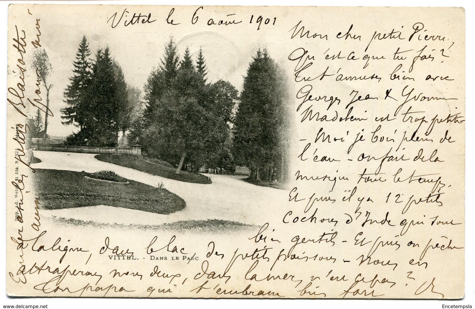 CPA - Carte Postale - France - Vittel - Dans Le Parc - 6 Août 1901 (M8443) - Contrexeville