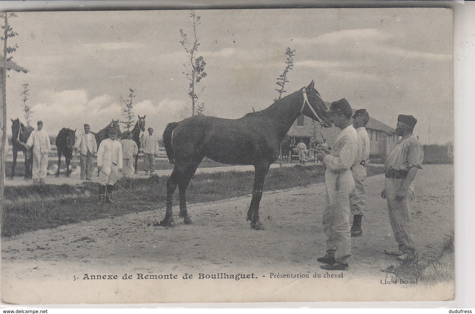 ANNEXE DE REMONTE DE BOUILHAGUET    PRESENTATION DU CHEVAL - Autres & Non Classés