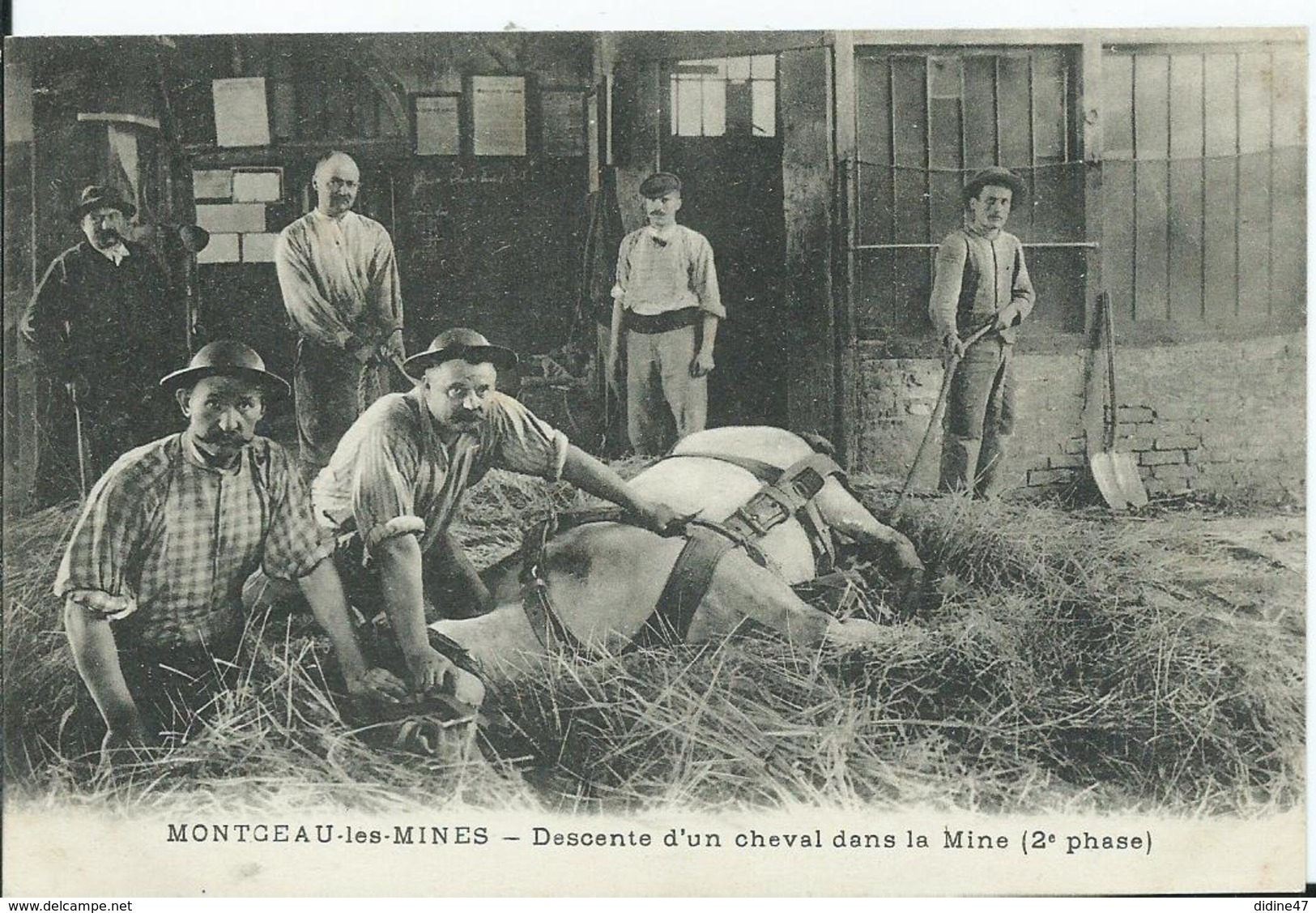 MONTCEAU LES MINES - Descente D'un Cheval Dans La Mine (2e Phase ) - Montceau Les Mines