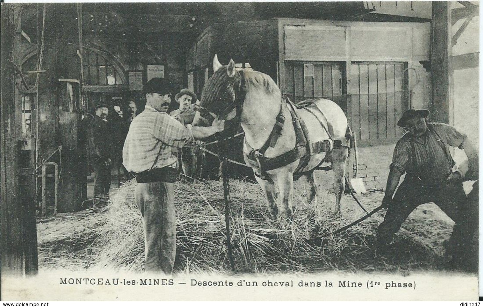 MONTCEAU LES MINES - Descente D'un Cheval Dans La Mine (1re Phase ) - Montceau Les Mines