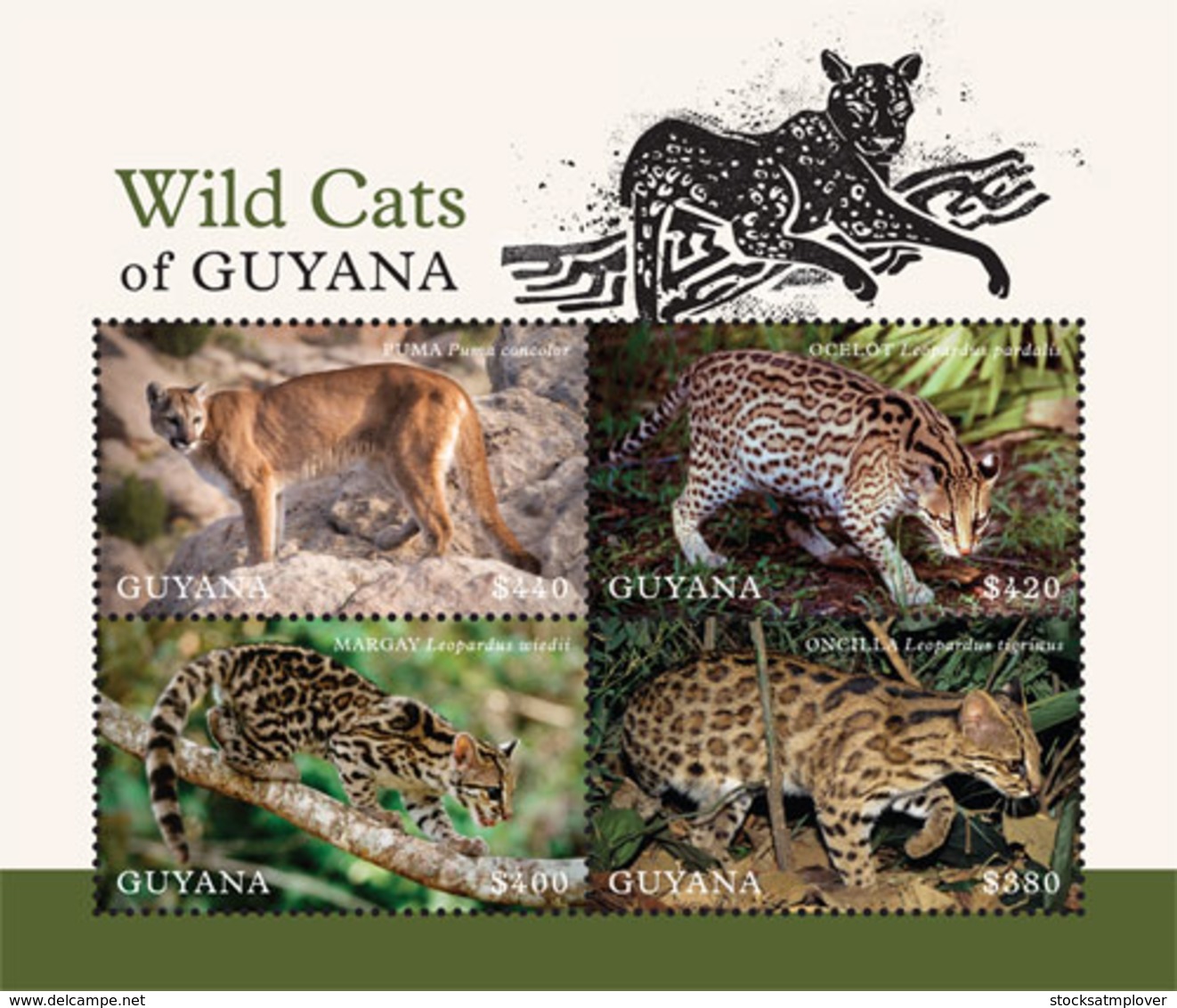 Guyana 2018 Fauna  Wild Cats Of Guyana  I201901 - Guyana (1966-...)