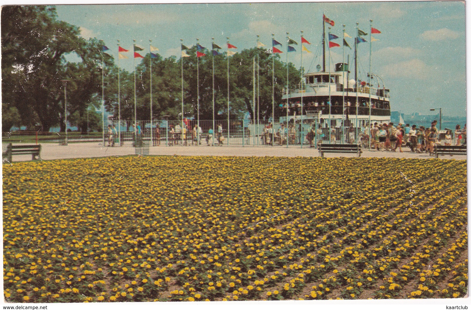 Toronto - Coulourful Flower Beds Greet Passengers At Centre Island Ferry Terminal - (Canada) - Toronto
