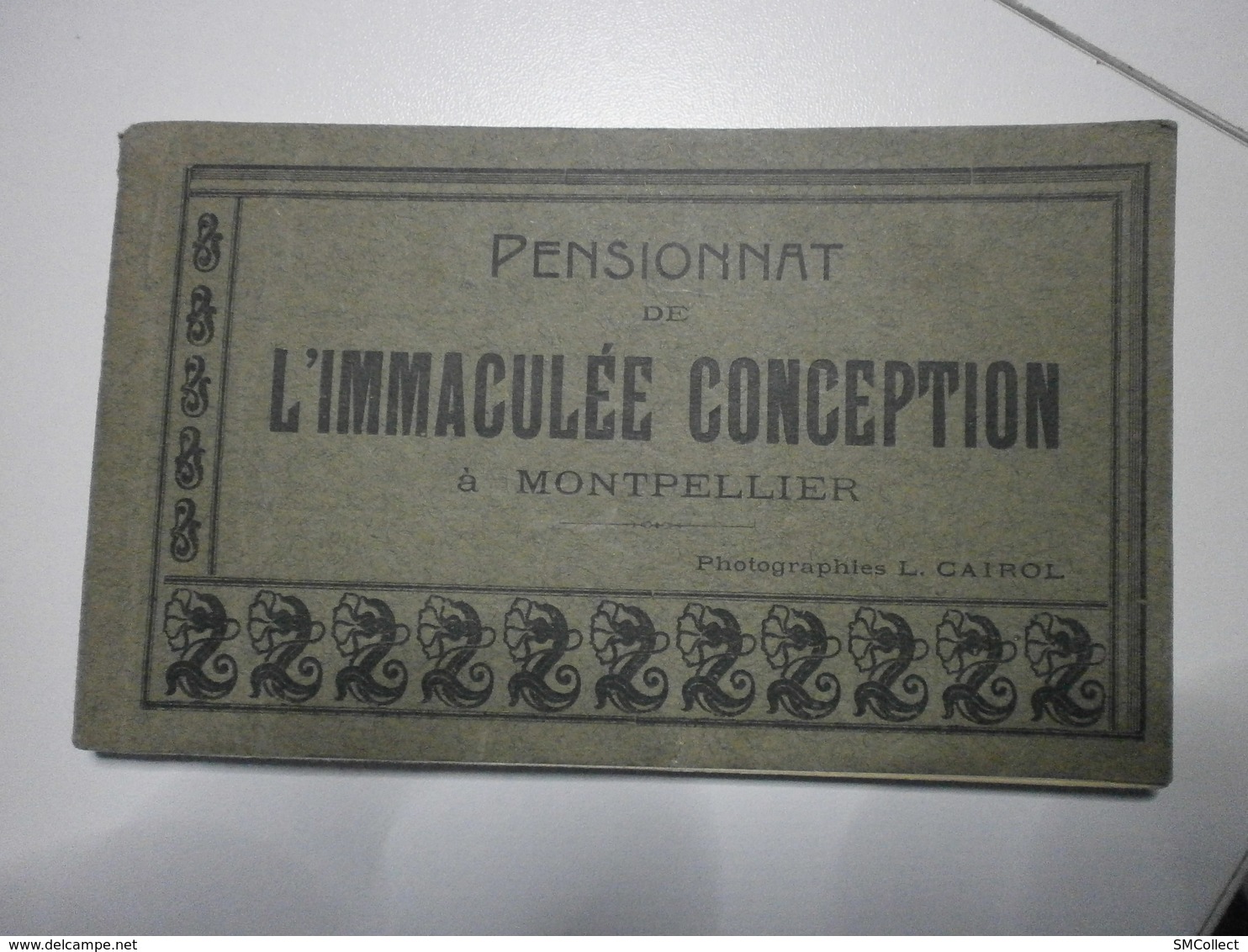 34 Montpellier, Pensionnat De L'Immaculée Conception. Carnet Complet De 12 Cartes (1201) - Montpellier