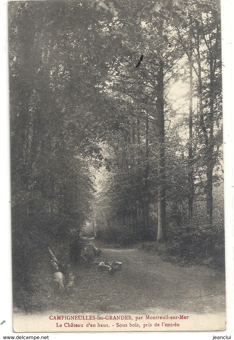 CAMPIGNEULLES-les-GRANDES Par MONTREUIL-SUR-MER . LE CHATEAU D'EN HAUT . SOUS BOIS PRIS DE L'ENTREE . AFFR LE 8-9-1909 - Montreuil