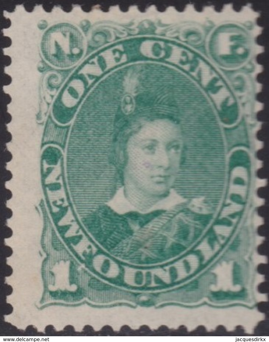 Newfoundland     .   SG  .      50a      .    *    .    Mint-hinged     .   /    .   Ongebruikt - 1865-1902