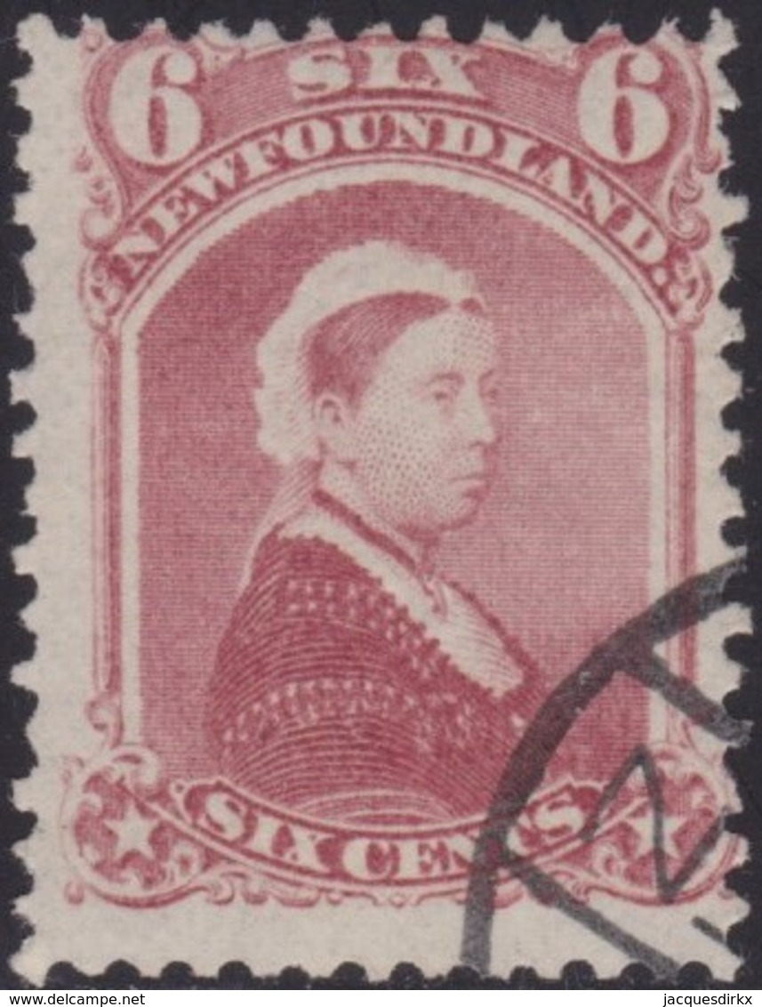 Newfoundland     .   SG  .      60       .        O      .   Cancelled       .   /    .   Gebruikt - 1865-1902