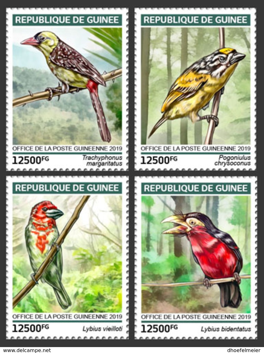 GUINEA REP. 2019 MNH Barbets Bartvögel 4v - OFFICIAL ISSUE - DH1917 - Otros & Sin Clasificación