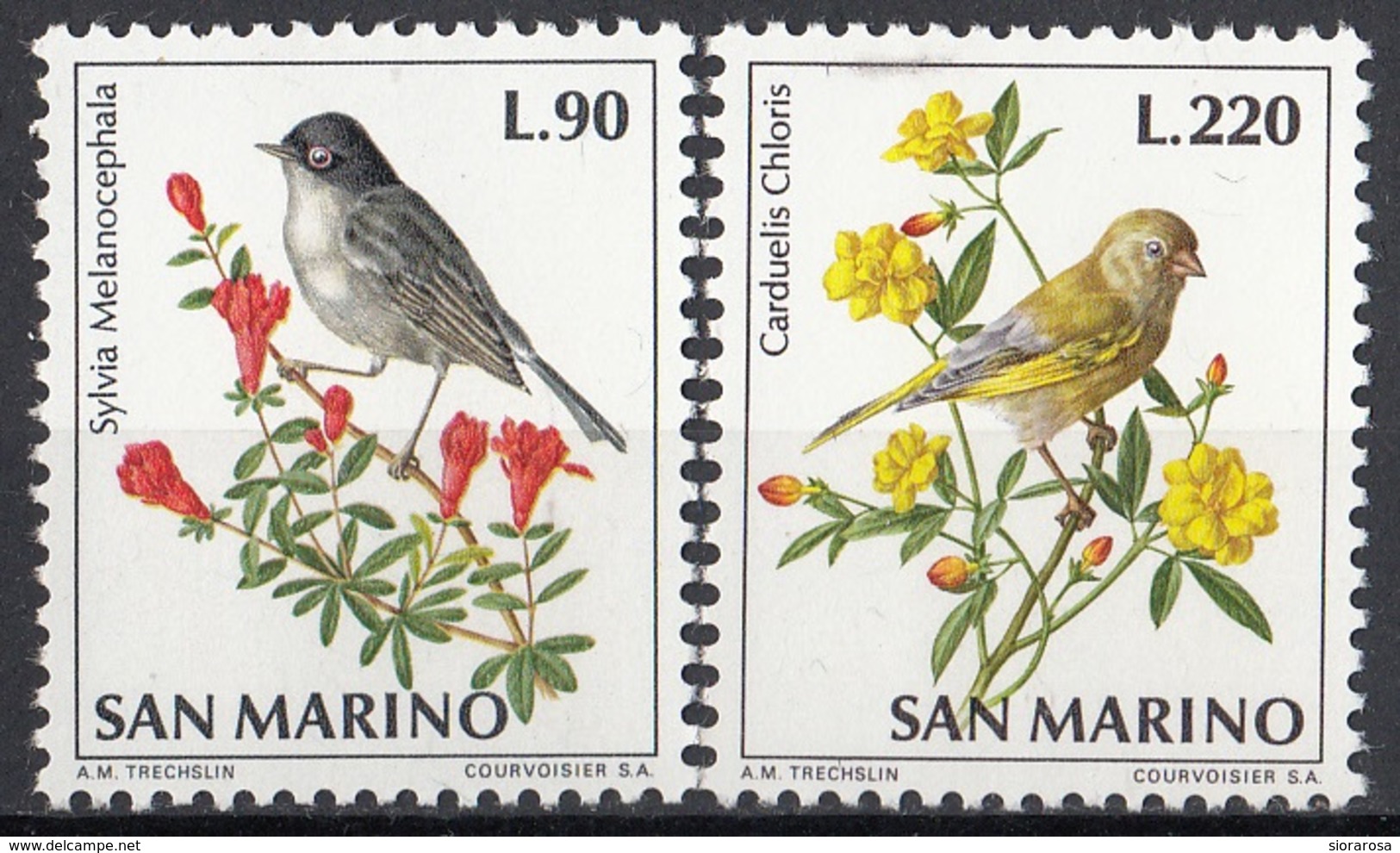 San Marino 1972 Blf. 871-872 Uccelli Birds Verdone Occhiocotto Nuovo MNH - Moineaux