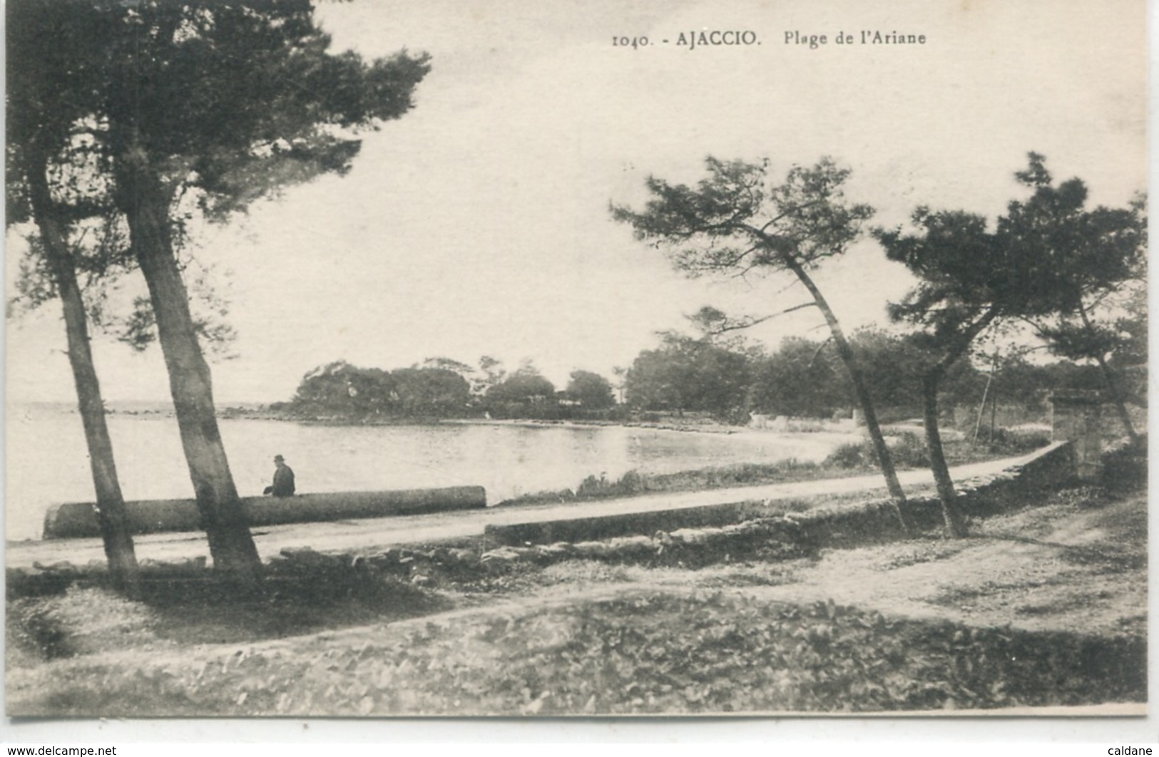 2A- CORSE -  AJACCIO - Plage De L'Ariane - Ajaccio