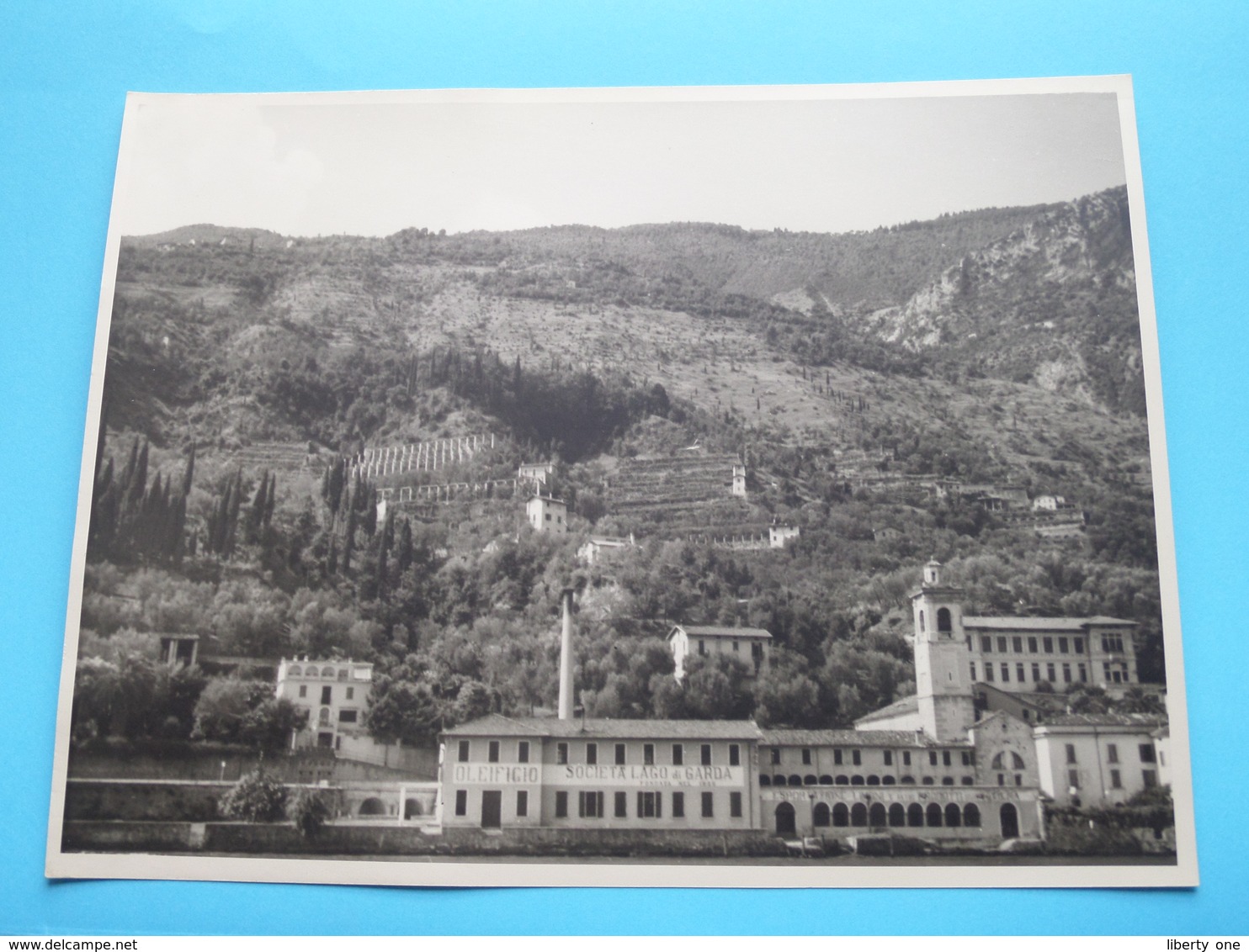 LAGO Di GARDA Près De Fasano / Italy ( Format Photo 23,5 X 17,5 Cm. ) Anno 1952 ( Zie/Voir/See Photo ) ! - Luoghi