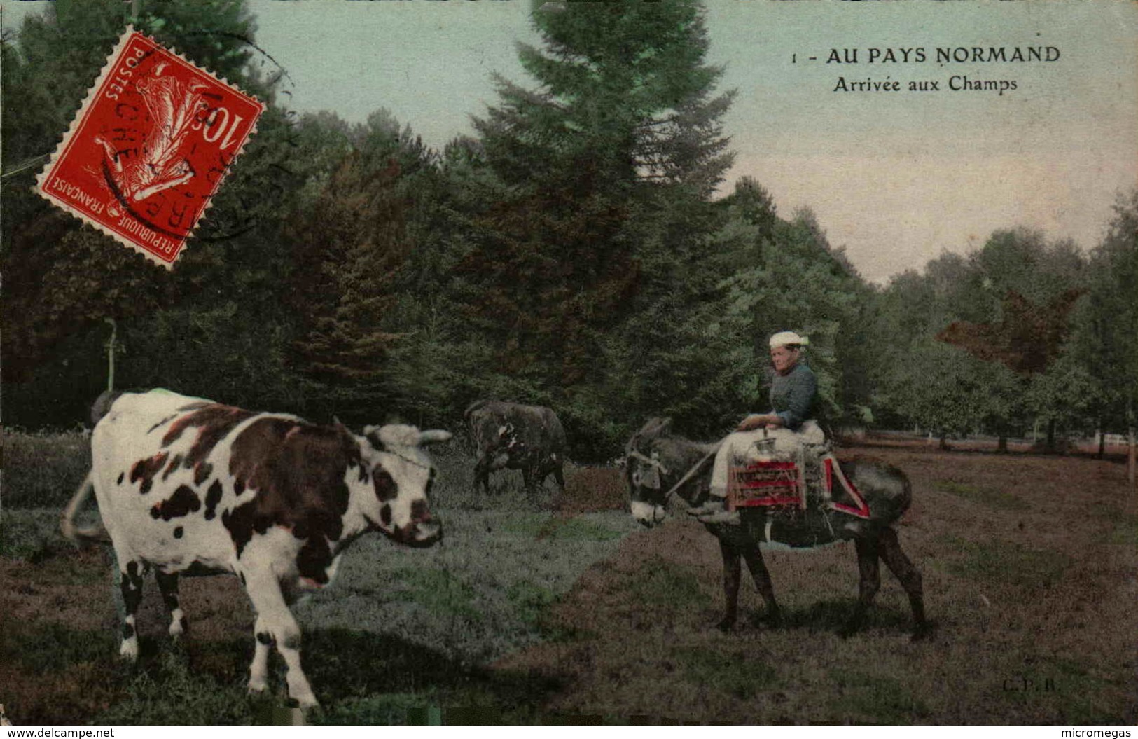 Au Pays Normand - Arrivée Aux Champs - Basse-Normandie