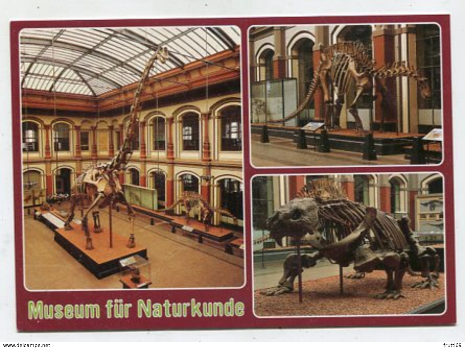 GERMANY - AK 349157 Berlin - Museum Für Naturkunde - Altri & Non Classificati