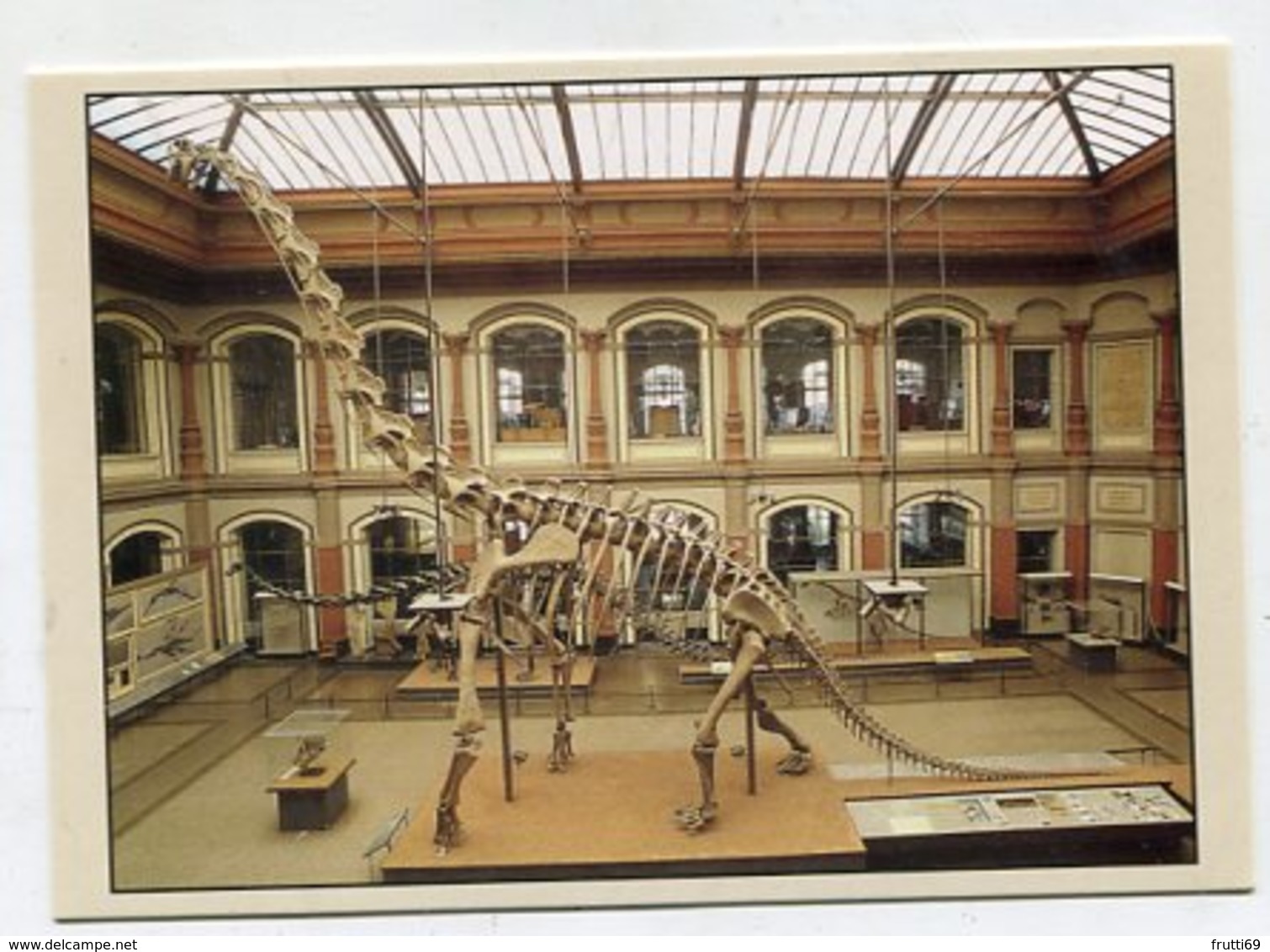 GERMANY - AK 349159 Berlin - Museum Für Naturkunde - Sauriersaal - Altri & Non Classificati