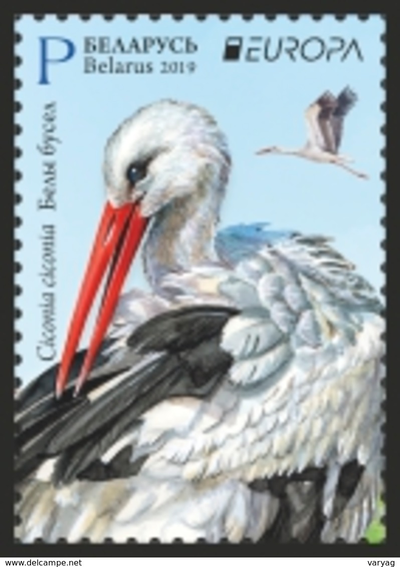 Belarus 2019 Europa  Bird Birds Fauna Stork Set 2v MNH - Belarus