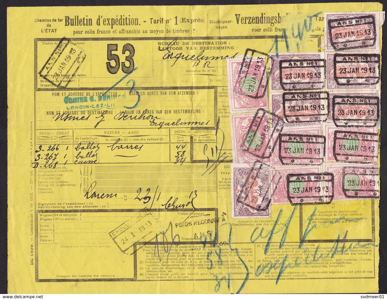 Belgium: Parcel Form Belgian State Railways, 1913, 12 Railway Stamps, Chemins De Fer De L'Etat, Bulletin (damaged) - Andere & Zonder Classificatie