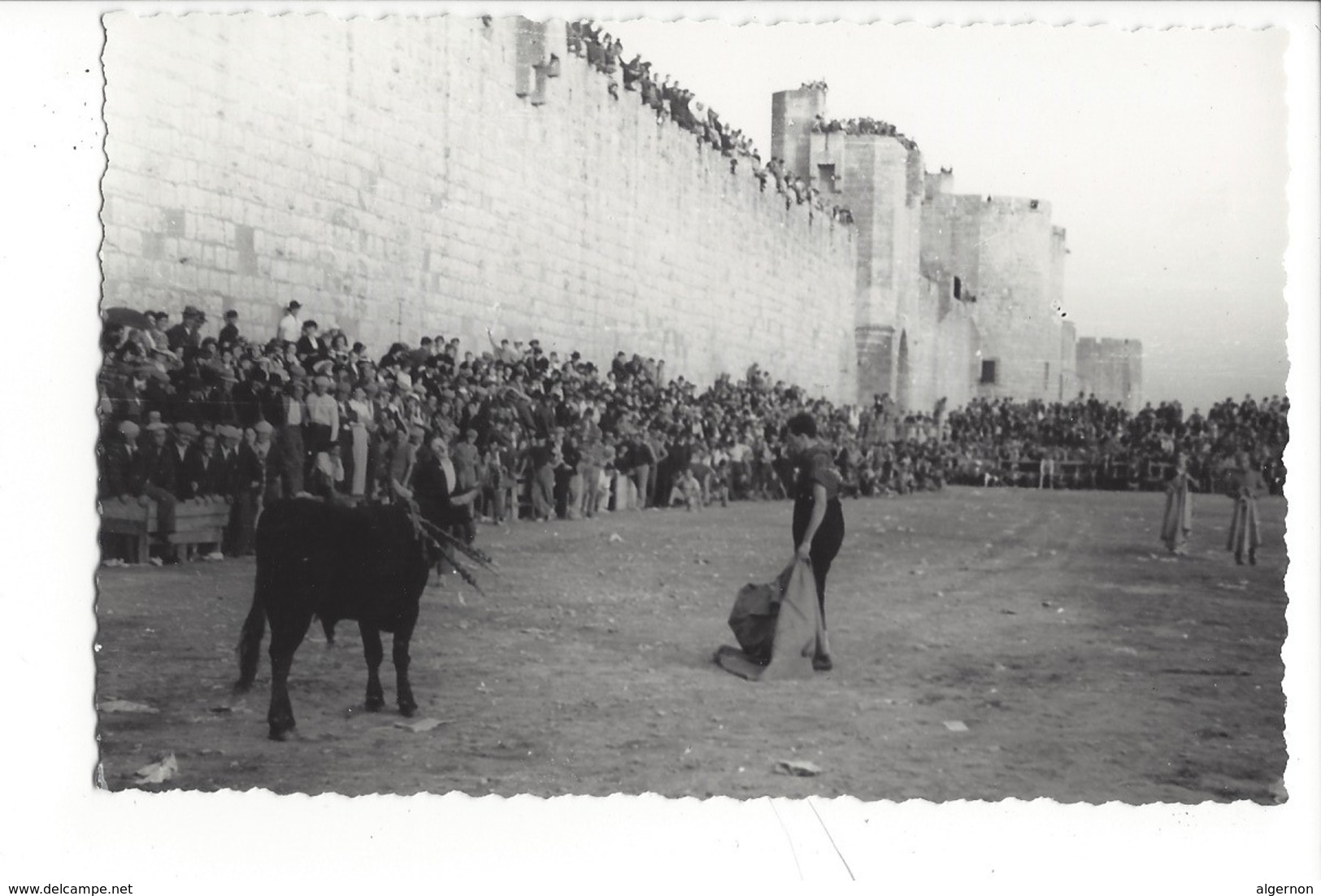 21976 - Carte Photo Corrida Aigues-Mortes  Fête Locale Au Pied Des Remparts Gard Photo Clarien - Corrida