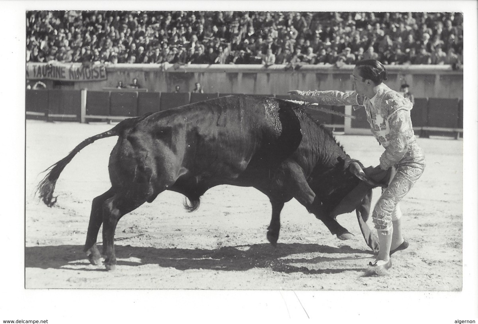 21979 -  Corrida Taurine Nimoise Photo George Arles - Corrida