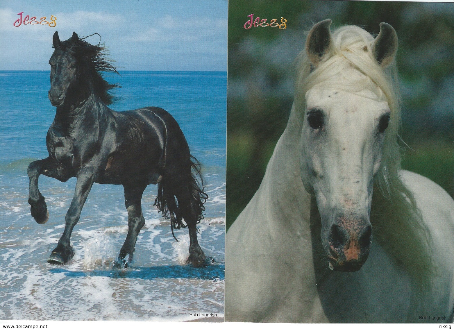 Horses - 4 Cards. # 06463 - Chevaux