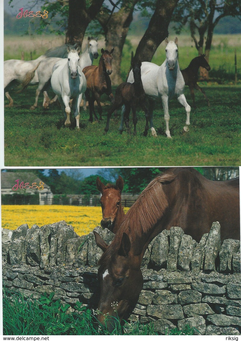 Horses - 4 Cards. # 06463 - Chevaux
