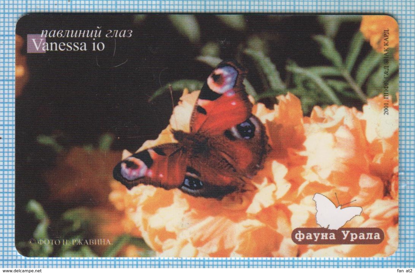 RUSSIA / Sverdlovsk Region / Phonecard / Phone Card / Fauna Of The Urals. Butterfly Peacock Eye. 2002 - Butterflies