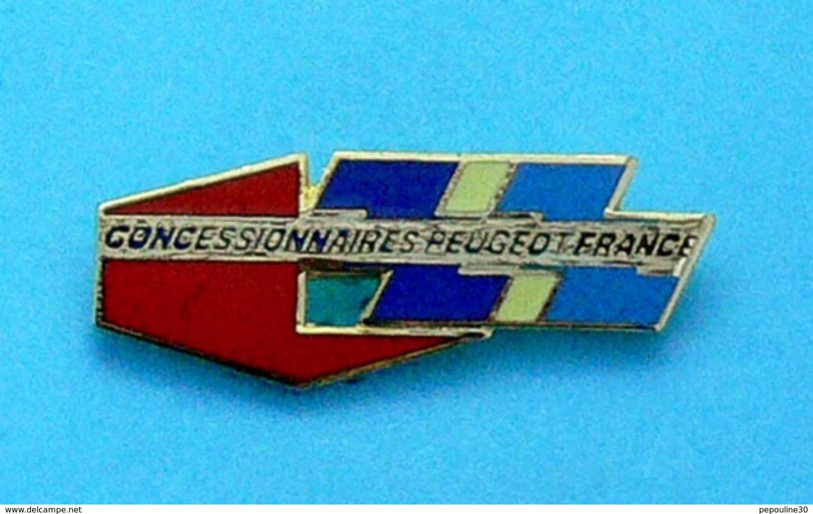 1 PIN'S //  ** CONCESSIONNAIRES PEUGEOT FRANCE ** . (Démons & Merveilles) - Peugeot