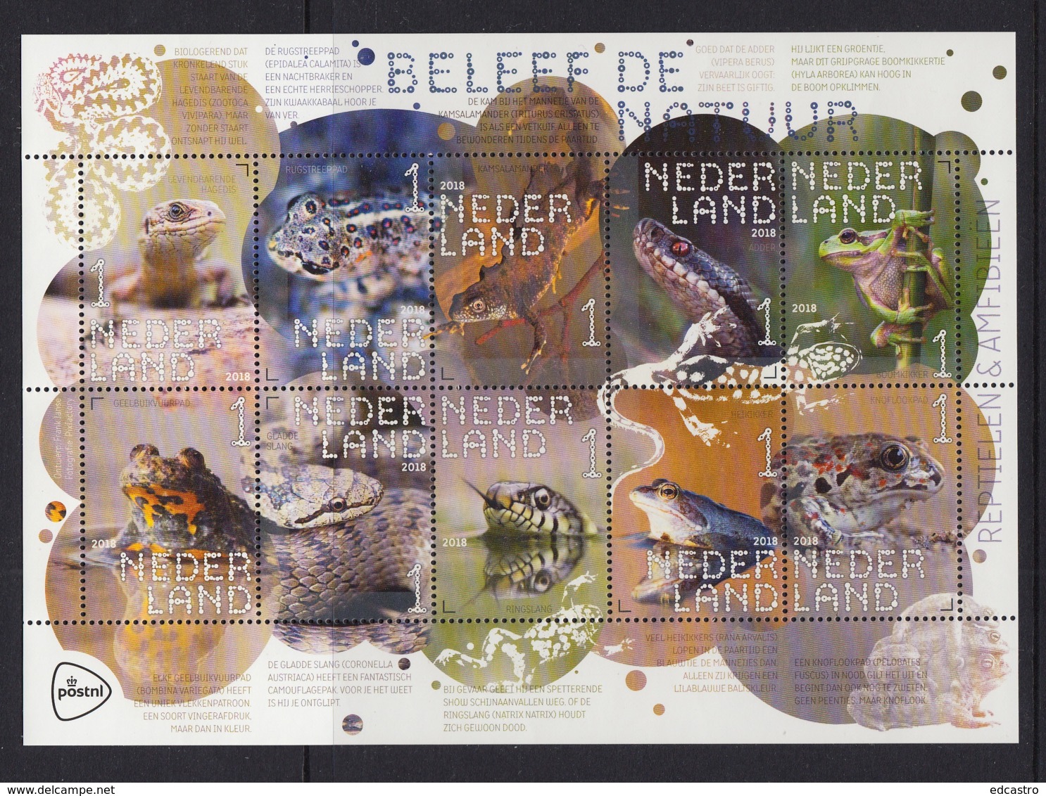 4.- NETHERLANDS 2018 Experience Nature - Reptiles And Amphibians - Miniature Sheet - Nuovi