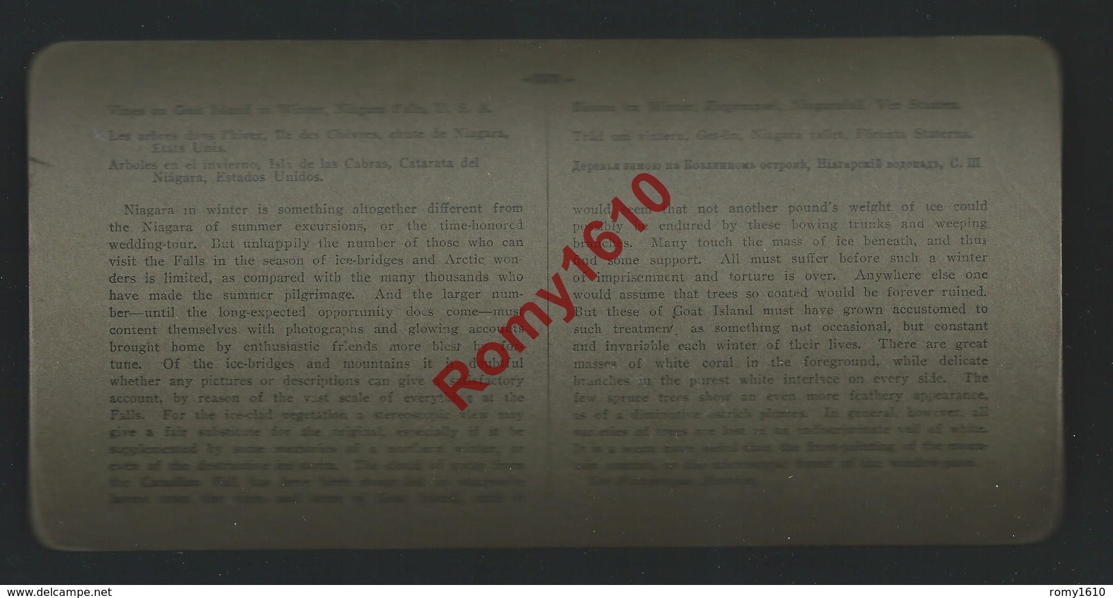 Photo Stéréoscopique. U.S.A. Les Arbres En Hiver. Ile Des Chèvres. Chutes De Niagara. Etats-Unis. - Photos Stéréoscopiques