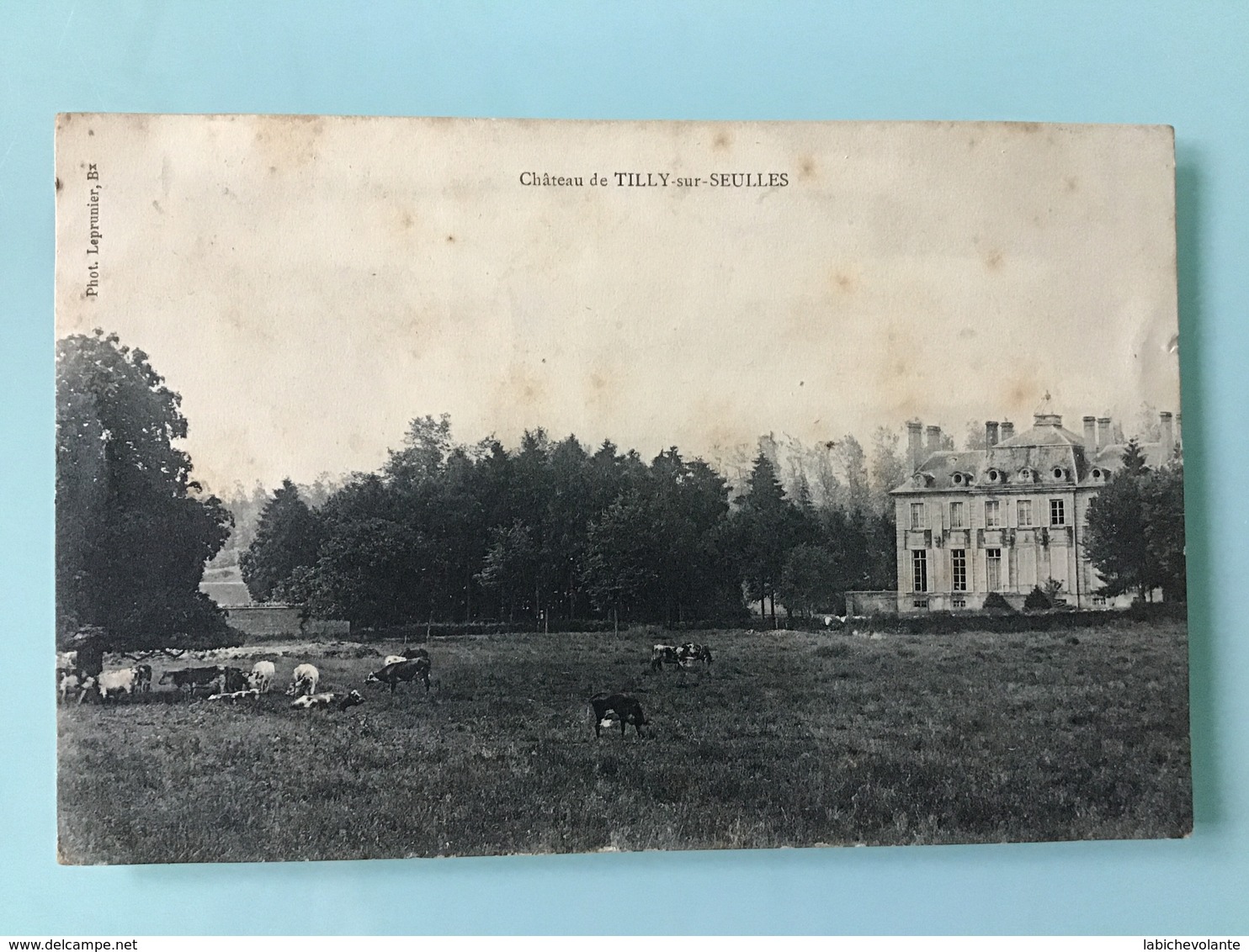 Château De TILLY-sur-SEULLES - Autres & Non Classés