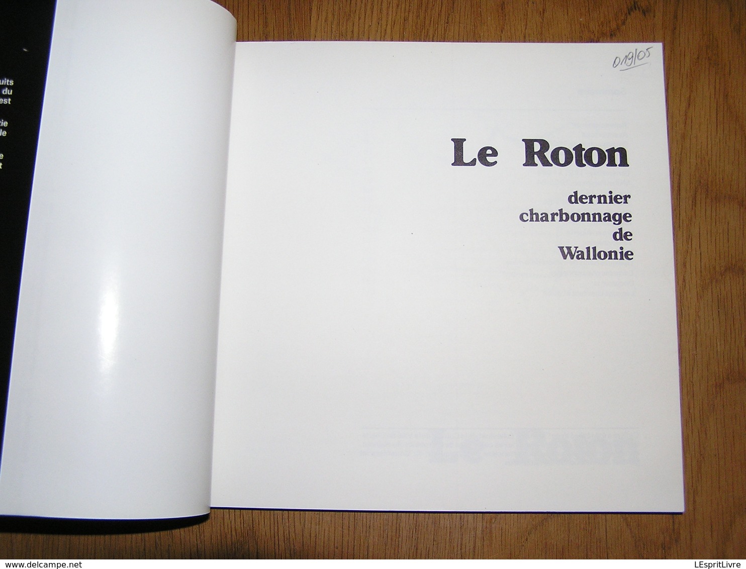 LE ROTON DERNIER CHARBONNAGE DE WALLONIE Régionalisme Charbonnages Mine Charbon Mineurs Farciennes Pays Noir Charleroi - Belgique