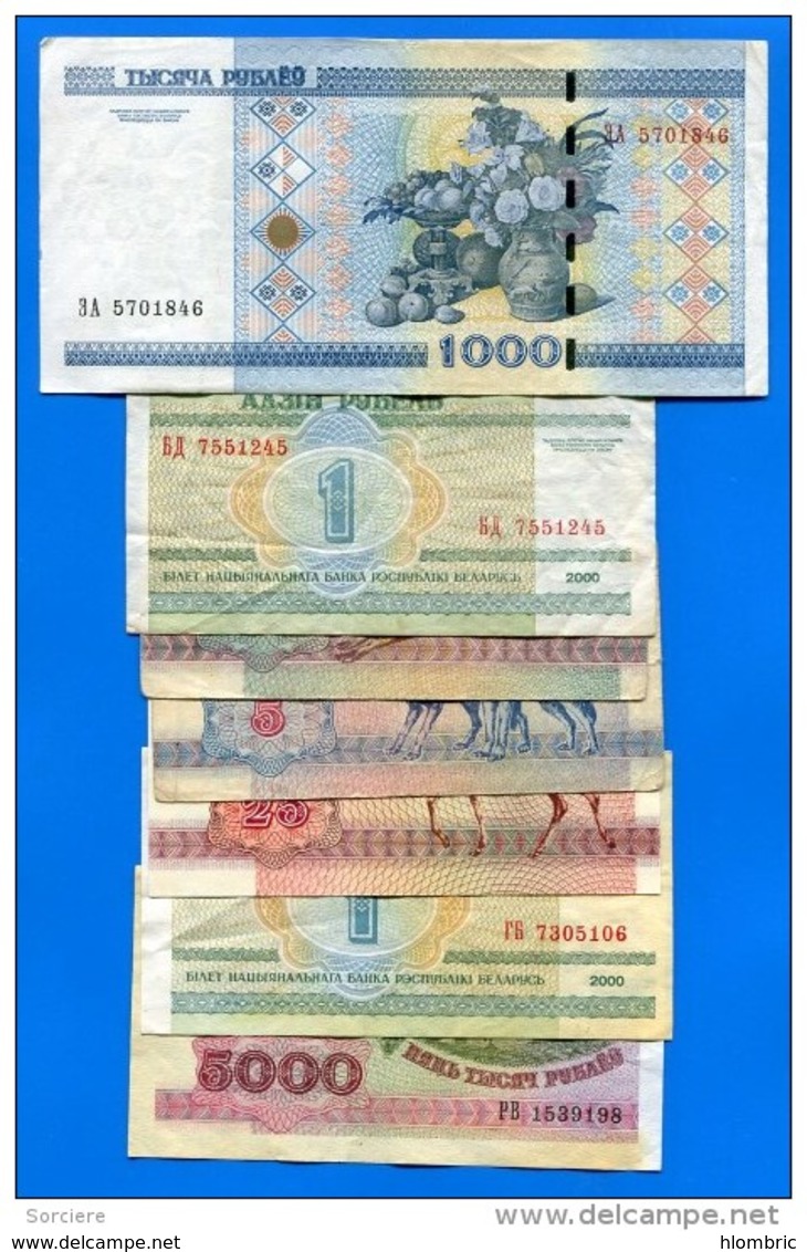 Belarus  17  Billets - Belarus