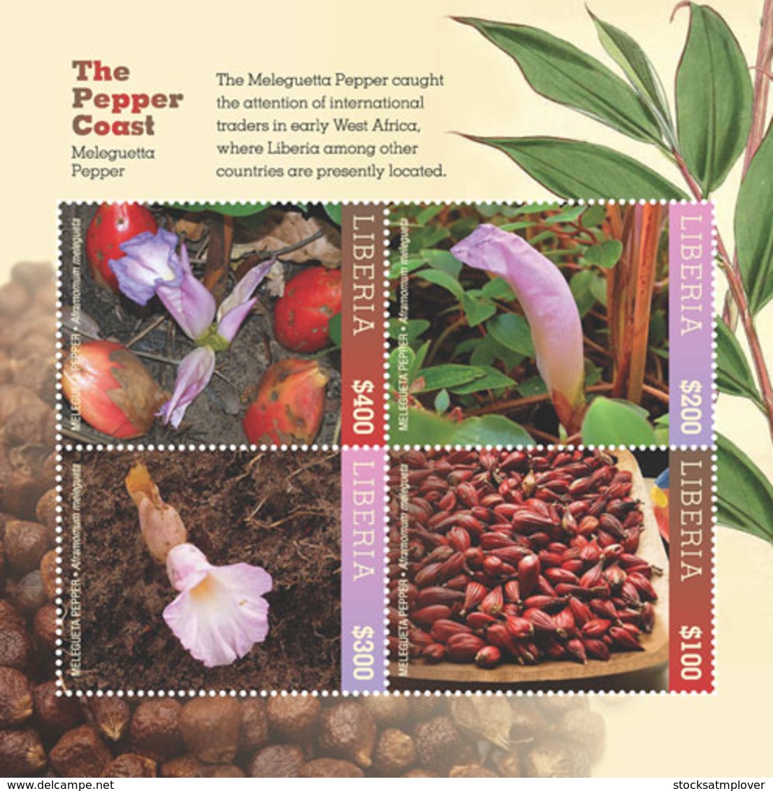 Liberia  2018 Pepper Flower   I201901 - Liberia