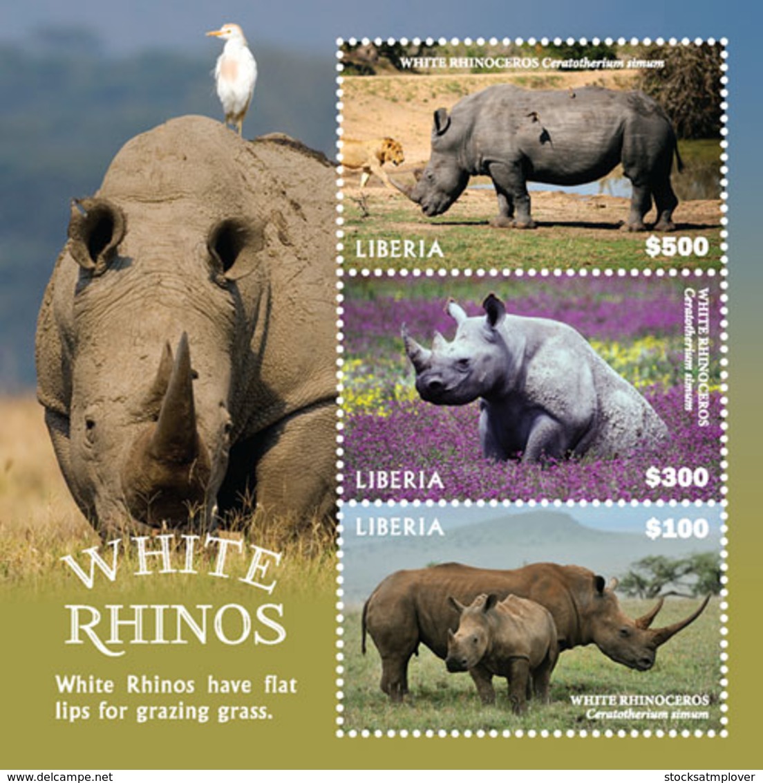 Liberia  2019  Fauna White Rhino   I201901 - Liberia