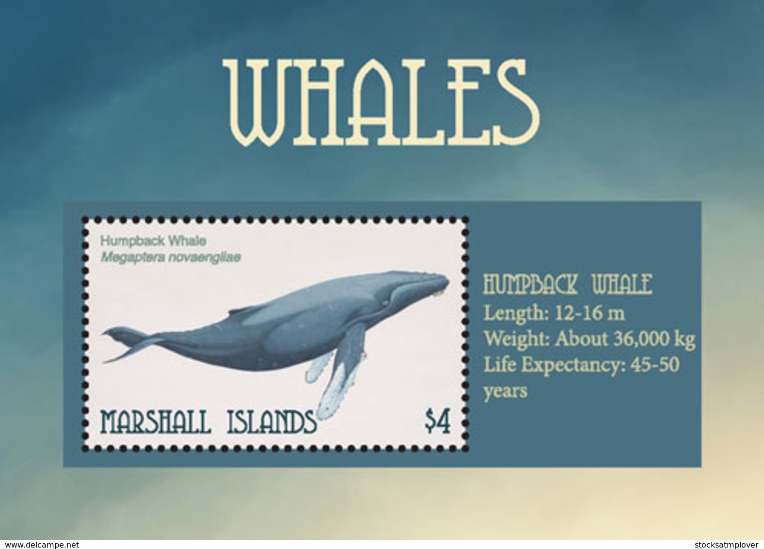 Marshall Islands   2018   Fauna  Whales  I201901 - Marshall Islands