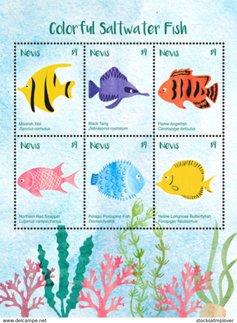 Nevis   2018  Fauna  Color Saltwater Fish   I201901 - St.Kitts And Nevis ( 1983-...)