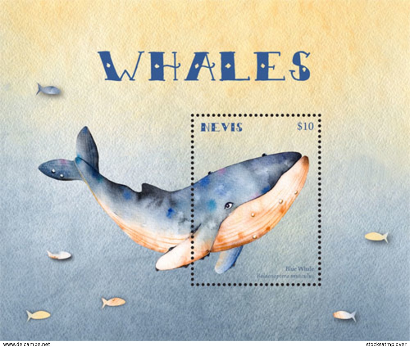 Nevis   2018  Fauna  Whales  I201901 - St.Kitts And Nevis ( 1983-...)