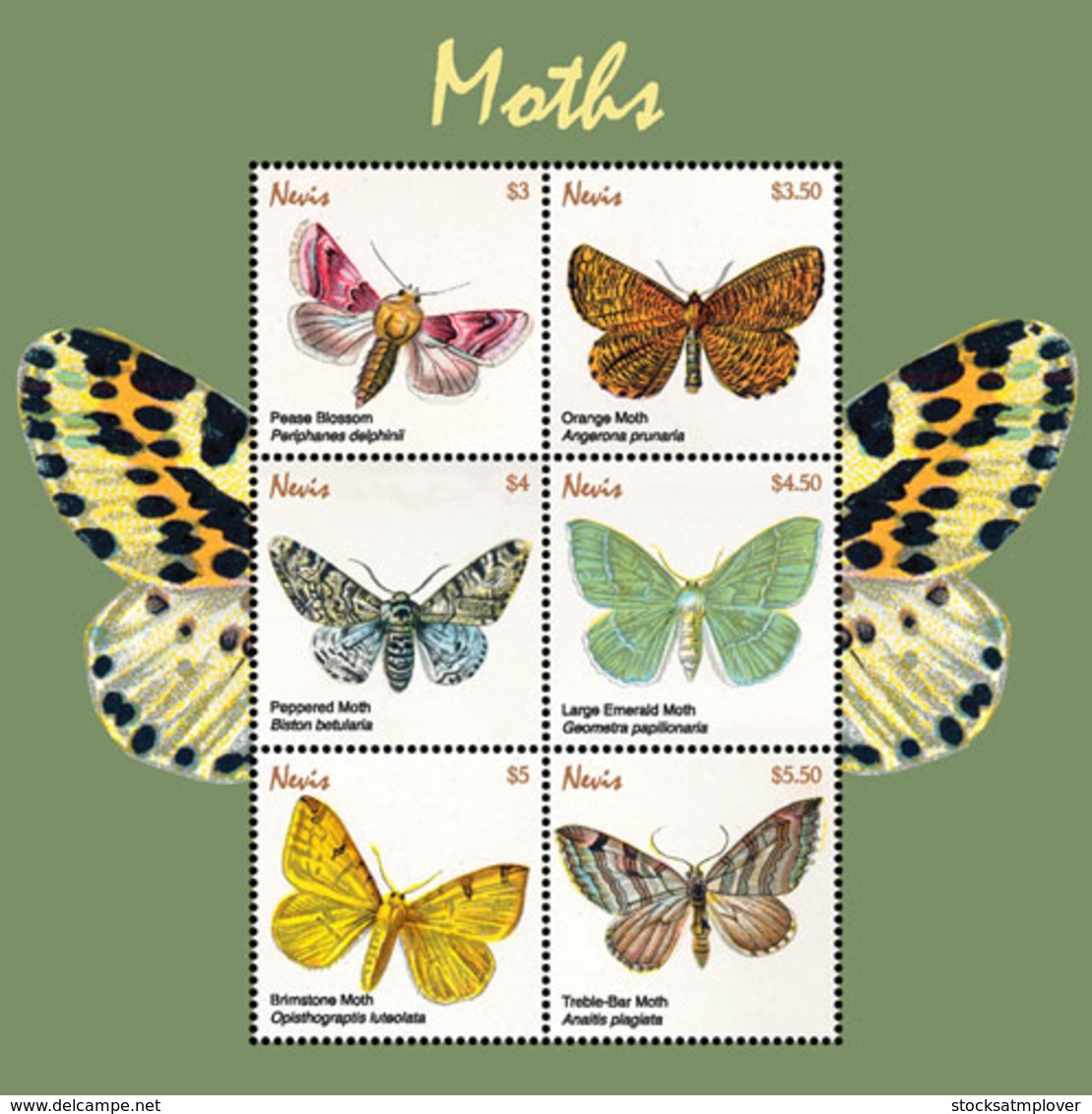 Nevis   2018  Fauna  Moths  I201901 - St.Kitts And Nevis ( 1983-...)