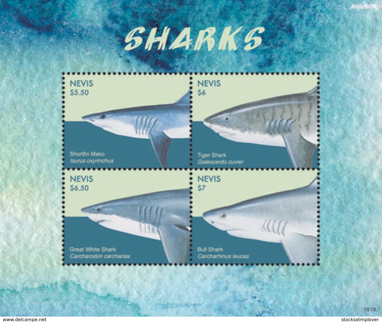 Nevis   2018  Fauna  Sharks  I201901 - St.Kitts And Nevis ( 1983-...)