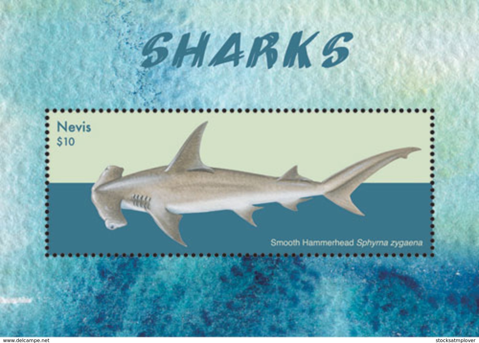 Nevis   2018  Fauna  Sharks  I201901 - St.Kitts And Nevis ( 1983-...)