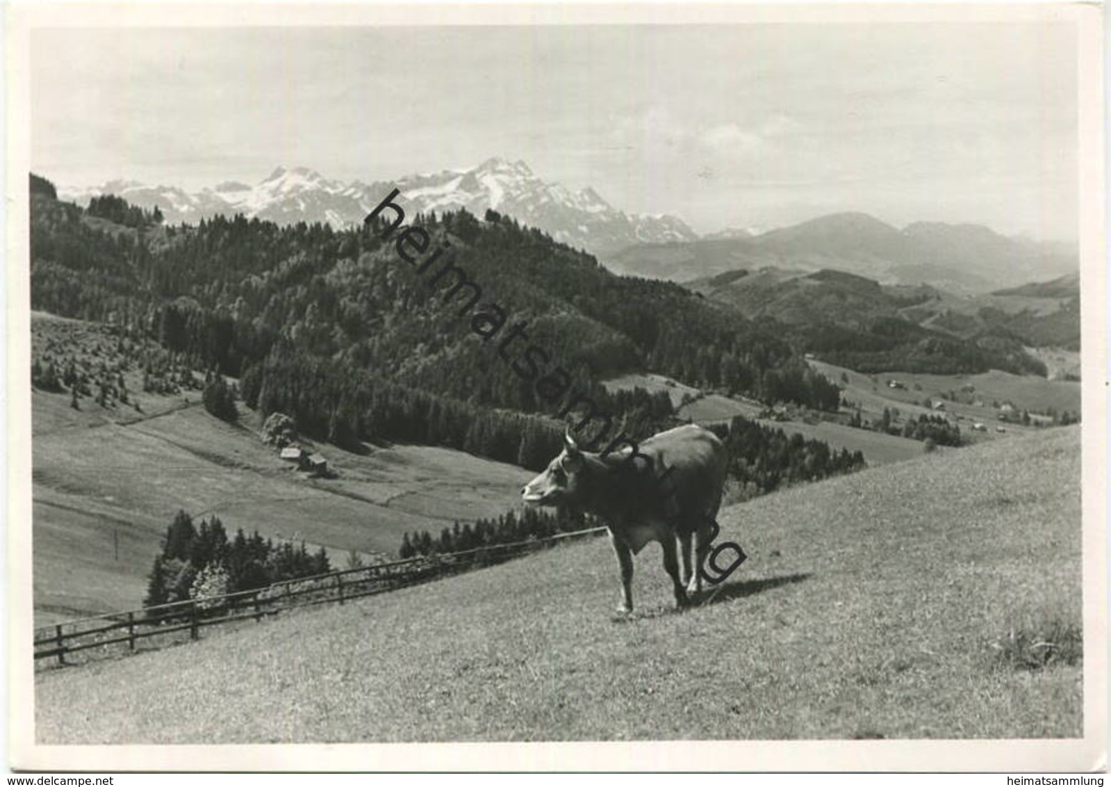 Speicher - Ferienhaus Libanon - Foto-AK Grossformat - Verlag Arthur Brugger Speicher Gel. 1969 - Speicher