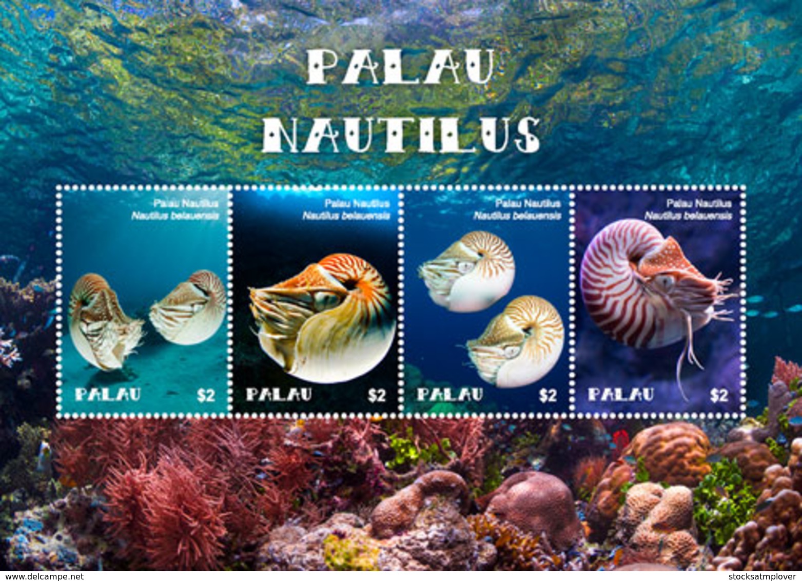 Palau   2018  Nautilus  Seashells    I201901 - Palau