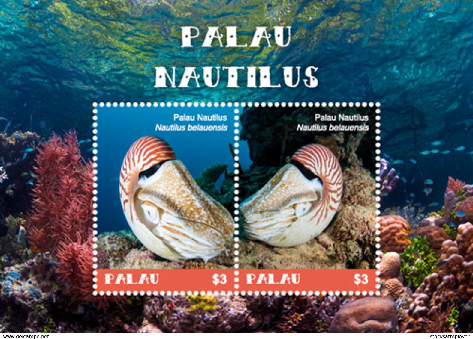 Palau   2018  Nautilus  Seashells    I201901 - Palau