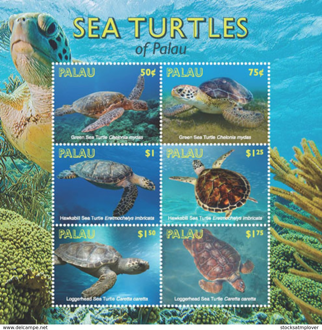 Palau   2018 Fauna Turtles     I201901 - Palau