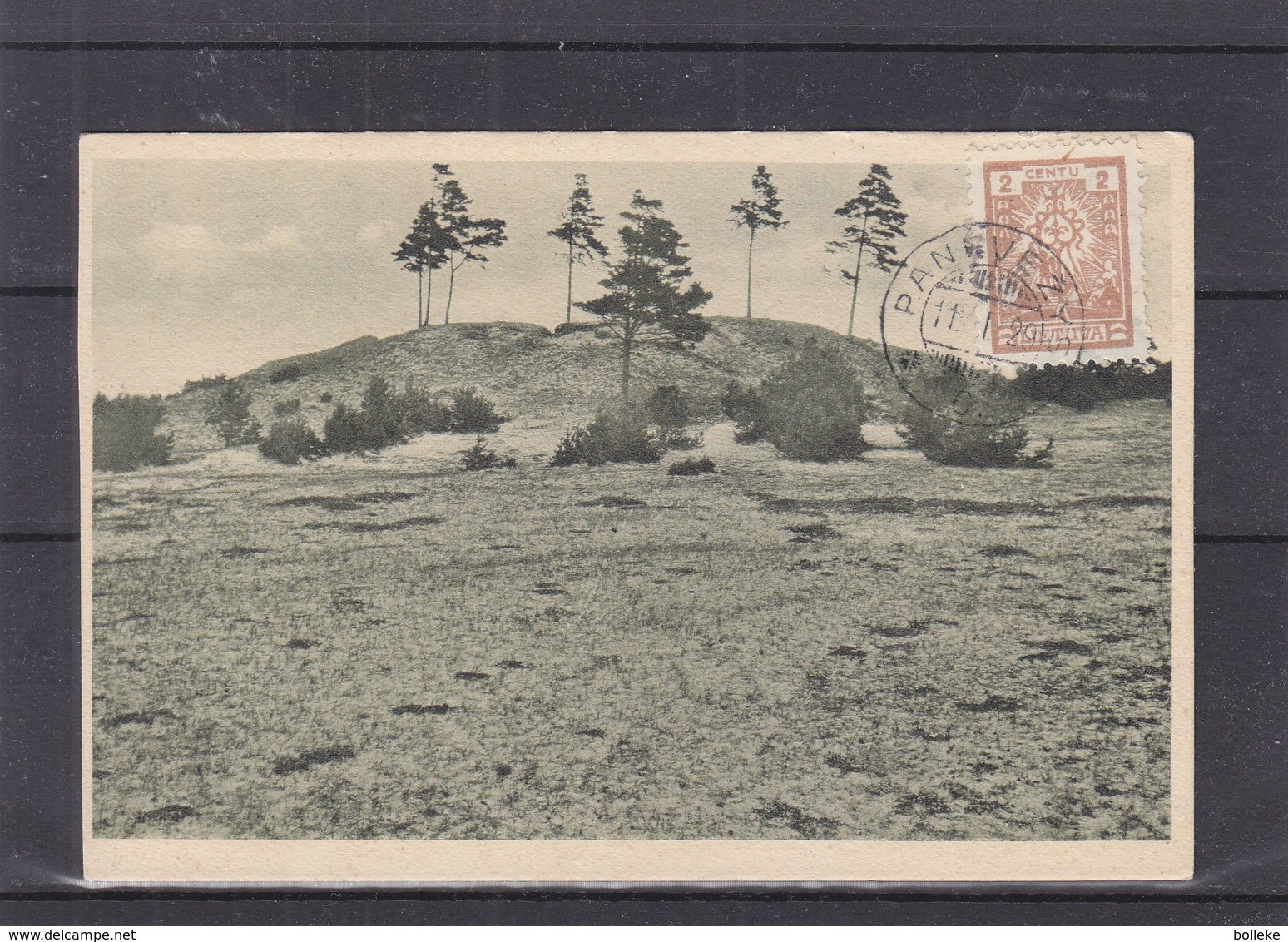 Lituanie - Carte Postale De 1929 - Oblit Panevezys - - Litouwen