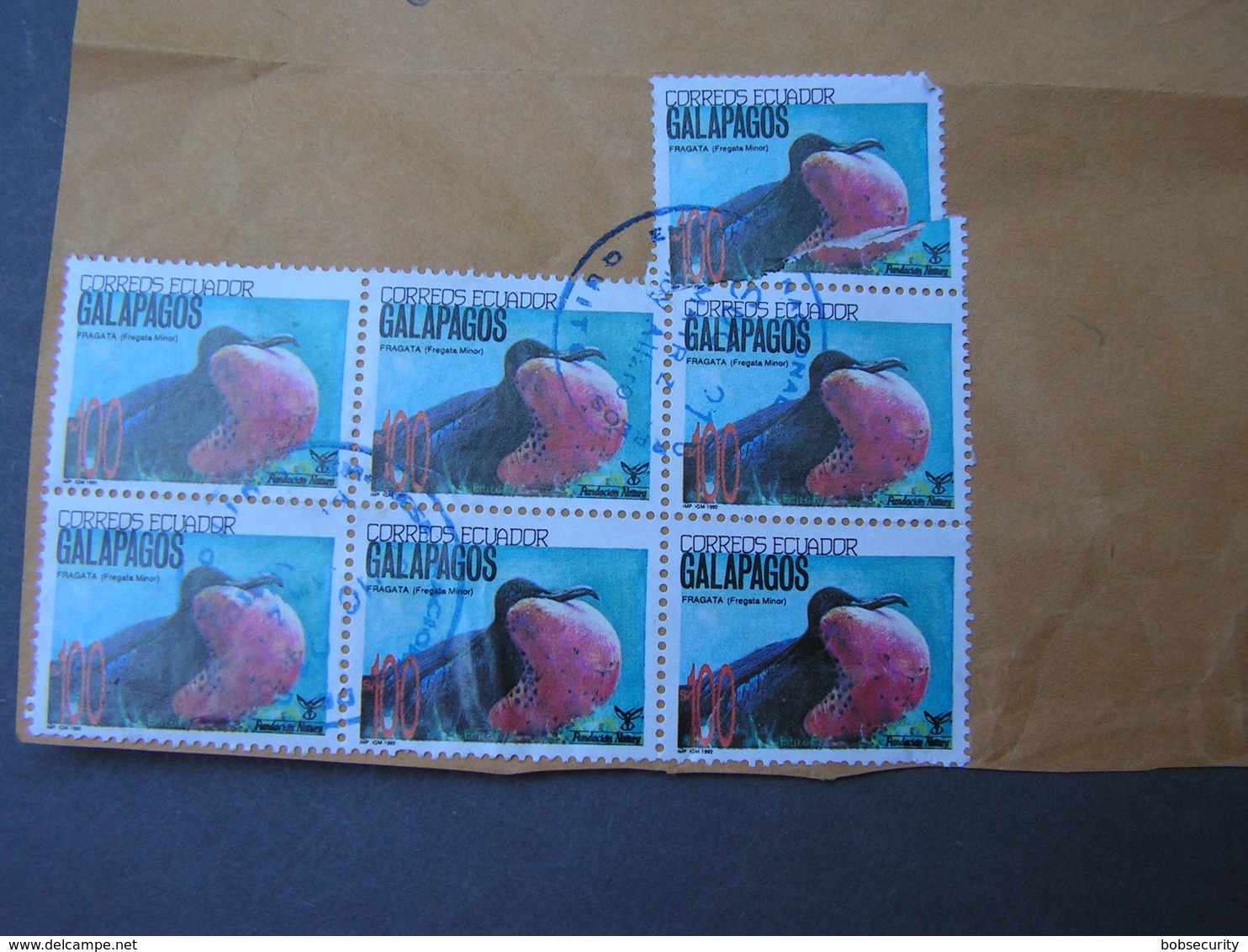Galapagos  Brief Teil  Vögel .. Selten 1992 - Ecuador