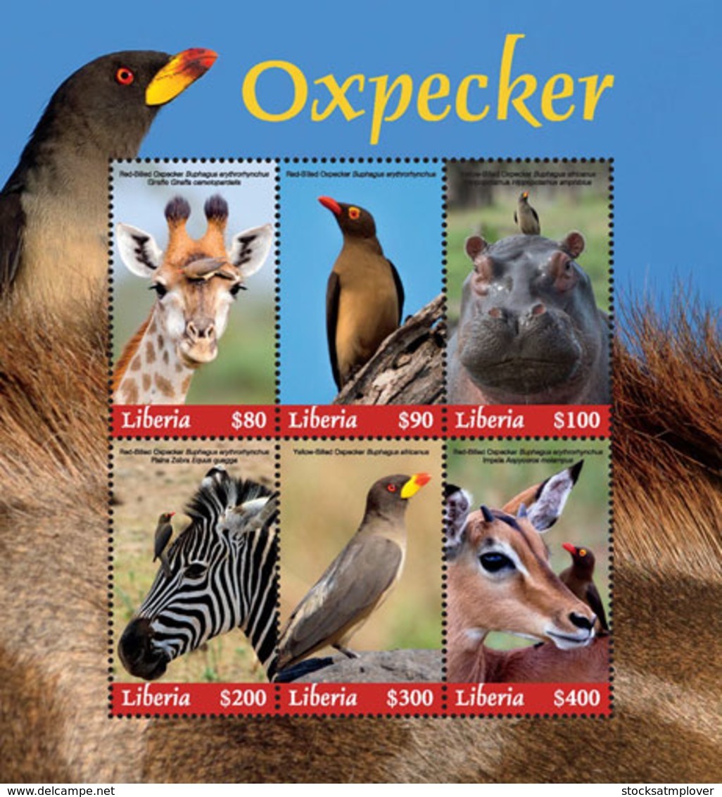 Liberia  2018 Fauna Oxpecker ,zebra. Giraffe ,hippo ,birds   I201901 - Liberia