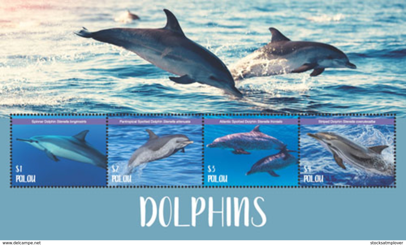 Palau 2018 Fauna Dolphins  I201901 - Palau