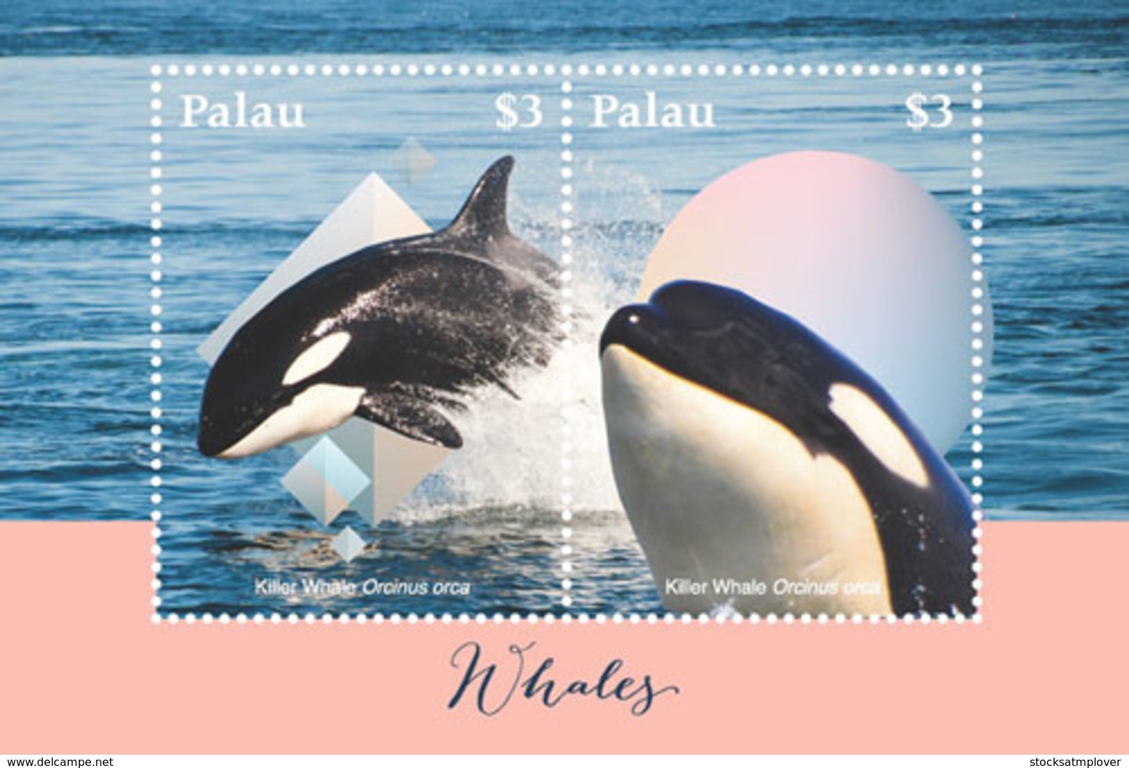 Palau 2018  Fauna Whales  I201901 - Palau