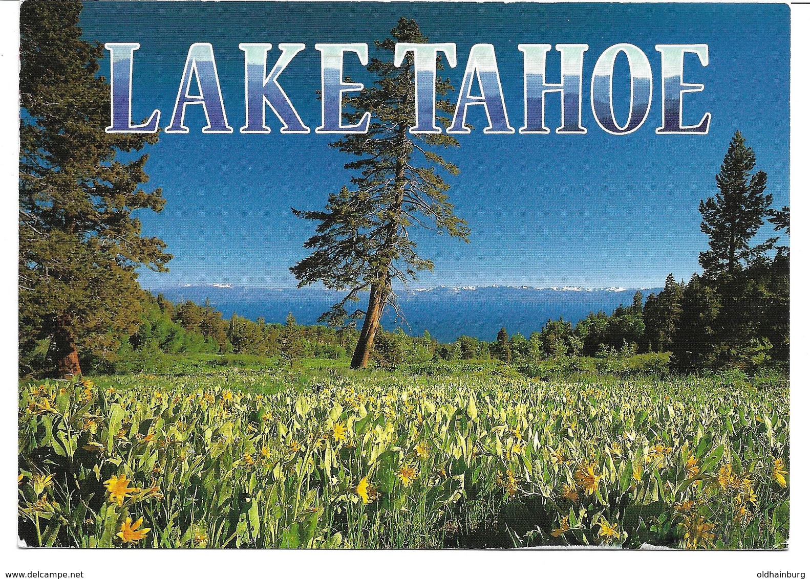 3070u: AK Lake Tahoe, Gelaufen Nach Österreich 2005 - Reno