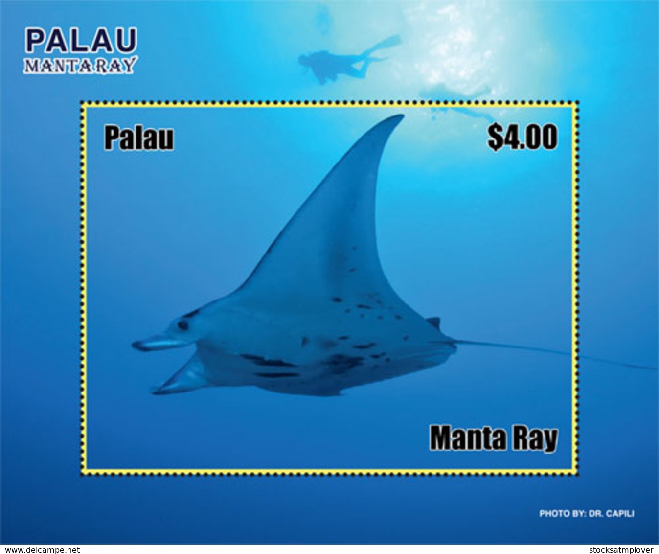 Palau 2019  Fauna Manta Ray Fish  I201901 - Palau